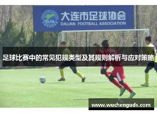足球比赛中的常见犯规类型及其规则解析与应对策略