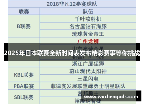 2025年日本联赛全新时间表发布精彩赛事等你挑战