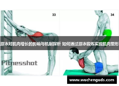 游泳对肌肉增长的影响与机制探析 如何通过游泳锻炼实现肌肉塑形
