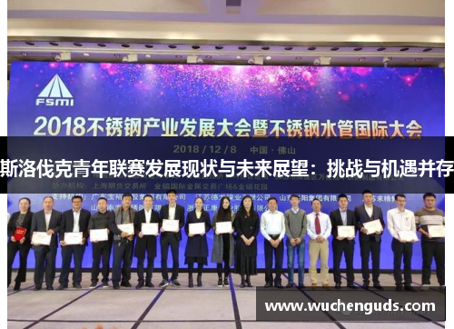 斯洛伐克青年联赛发展现状与未来展望：挑战与机遇并存