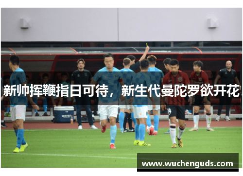 新帅挥鞭指日可待,新生代曼陀罗欲开花 新帅挥鞭指日可待,新生代曼陀罗欲开花